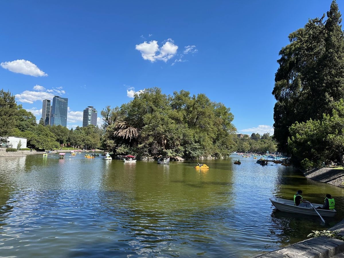 Lago de Chapultepec with the Polanco skyline behind it