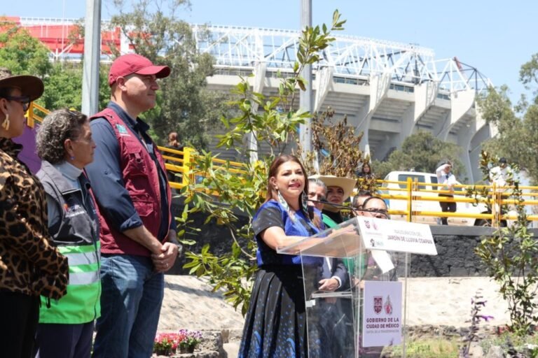 Así es el Jardín de Lluvia: un oasis hídrico cerca del Estadio Ciudad de México