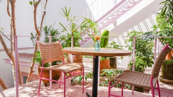 Costa Rosa: el lugar para comer bien y sentirte junto al mar sin salir de CDMX