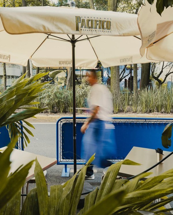 Dónde probar los flanes más ricos de CDMX