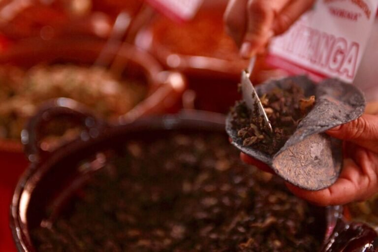 Escápate al Festival de la Gordita: ¡regalarán 500 mil gorditas y memelas!