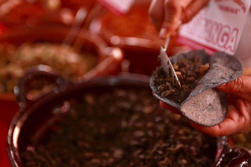 Escápate al Festival de la Gordita: ¡regalarán 500 mil gorditas y memelas!