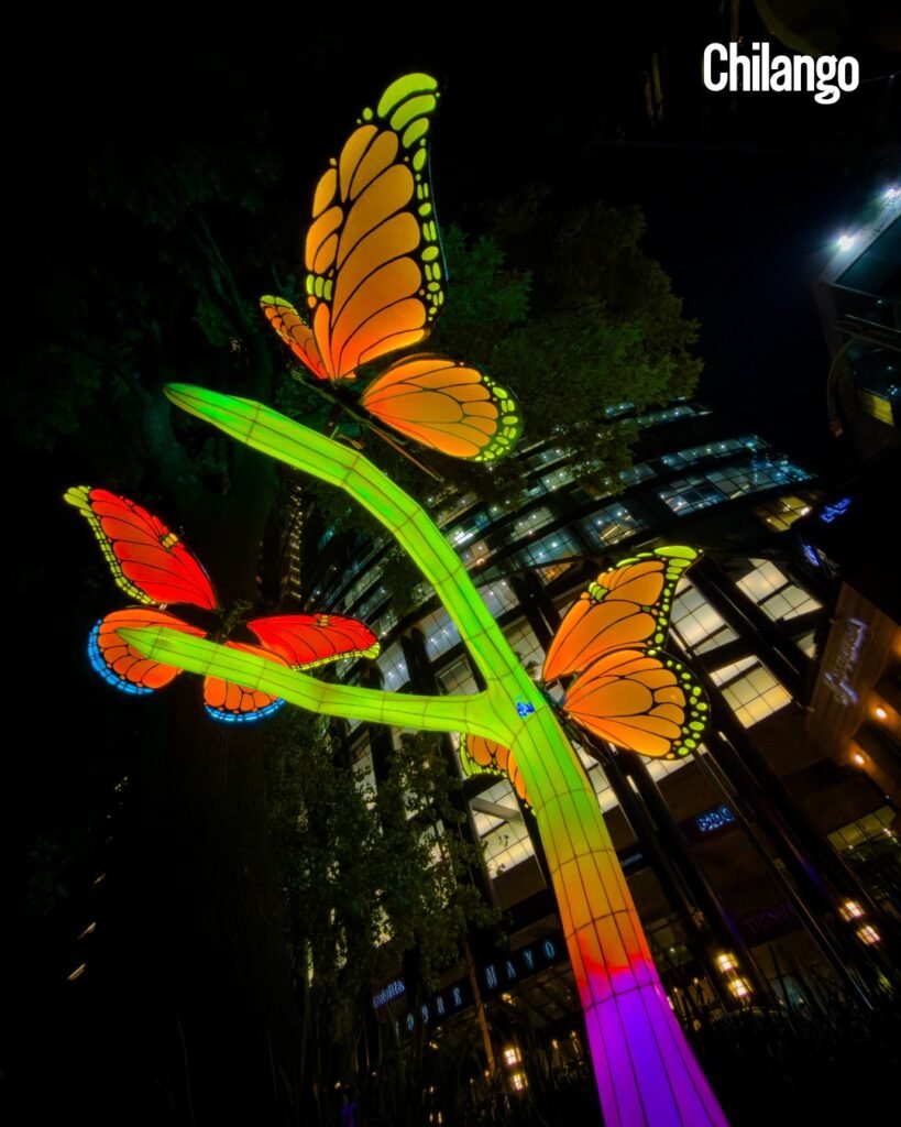 Eventos gratis del fin en CDMX: Festival de Luces, Feria del Rock, Cachirula, carnaval y más baile