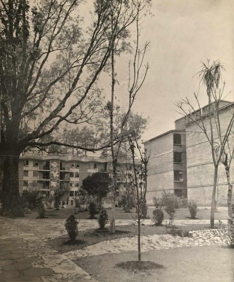 Fragmentos pictóricos: los murales de mosaico del IMSS