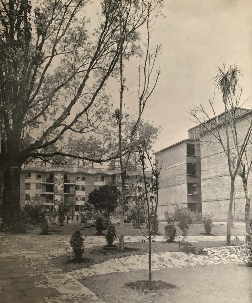 Fragmentos pictóricos: los murales de mosaico del IMSS