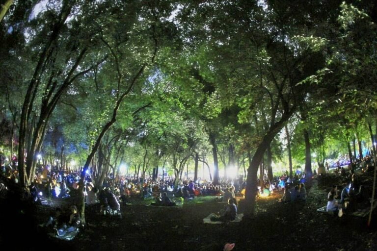 Habrá picnic nocturno en el Bosque de Chapultepec: será un noche de linternas y luces sobre el agua de una preciosa fuente