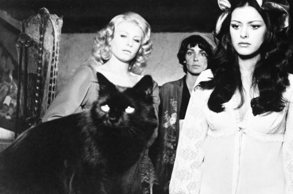 Maravillosas, Monstruosas: La nueva expo de cine de terror de CDMX