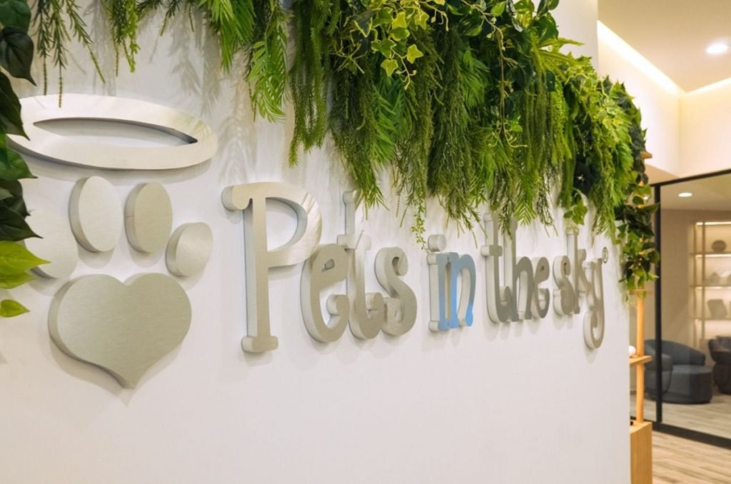 Pets in the Sky: la funeraria para mascotas en CDMX que honra su memoria