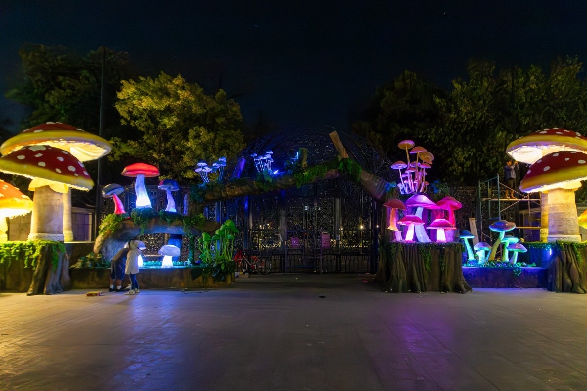 Vuelve el Festival del Bosque de Chapultepec este 2026 con picnic nocturno y activaciones en fuentes: checa todas las actividades