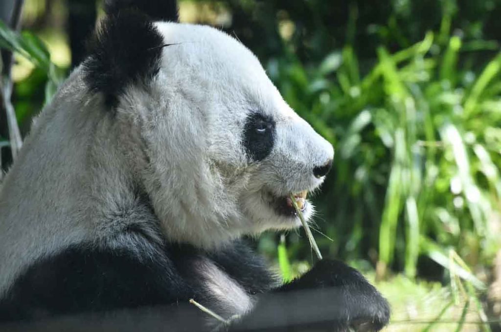 12 actividades en familia en CDMX: para todas las edades