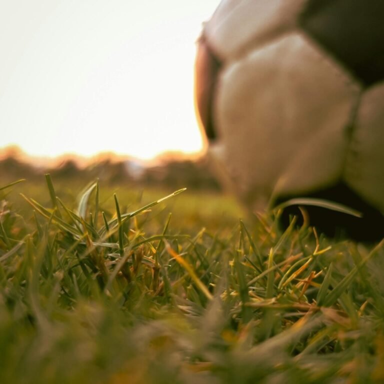 ¿Cómo llegar al Estadio Banorte? Habrá rutas de RTP para el partido México vs Brasil