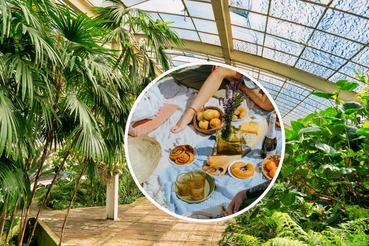 Día de la Tierra en Chapultepec: picnic gratis con trueque de ropa en el Jardín Botánico