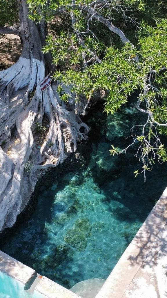 El balneario con un borbollón de agua natural y una alberca en forma de tortuga que puedes conocer por solo $100 esta Semana Santa