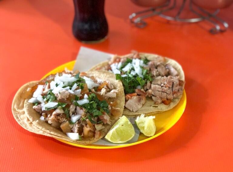 Eventos gratis del fin en CDMX: festival de carnitas, tributo a José José y feria en el Zócalo