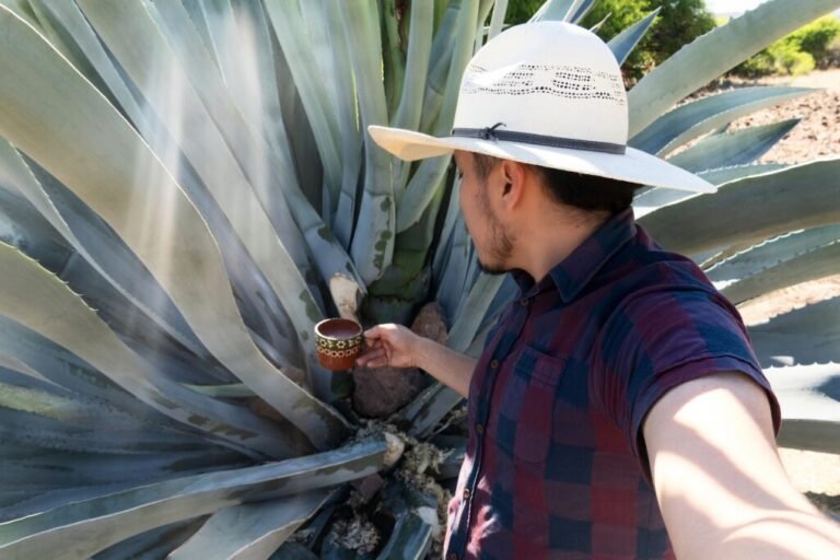 Fiesta del Pulque 2026 regresa a CDMX con conciertos GRATIS de música electrónica: ¿cuándo y dónde?