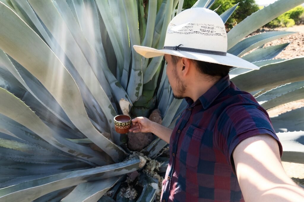 Fiesta del Pulque 2026 regresa a CDMX con conciertos GRATIS de música electrónica: ¿cuándo y dónde?