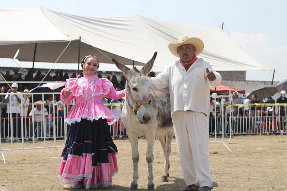 La Arrolladora, El Komander y más en la Feria del Burro Otumba 2026: fechas y cartel completo