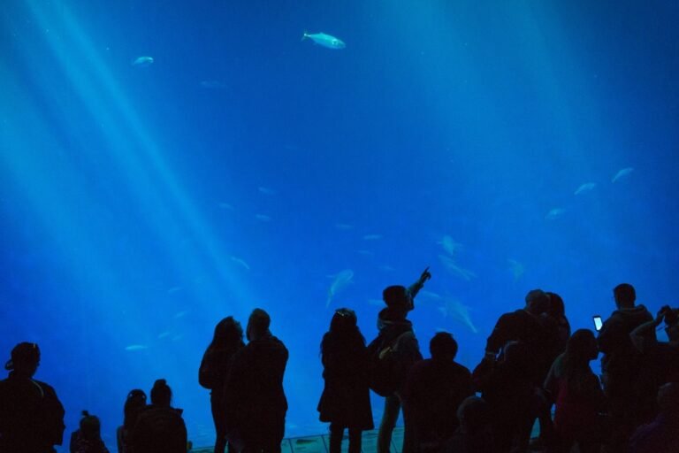 La experiencia inmersiva en Chapultepec que explica el origen del agua: visítala en Semana Santa