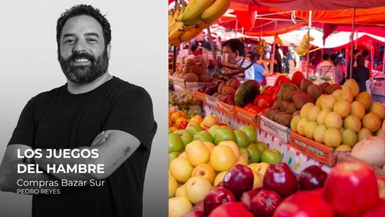 Los juegos del hambre: Compras Bazar Sur