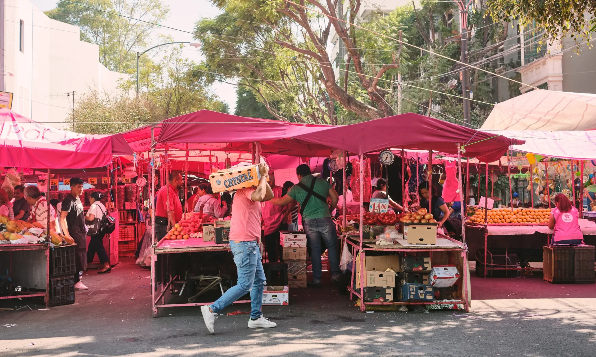 Los mejores tianguis de la Ciudad de México que debes visitar