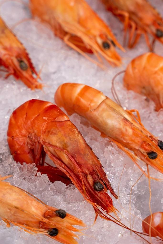 Mariscos y pescado frescos en esta feria de CDMX: el evento de fin de semana para disfrutar los manjares del mar