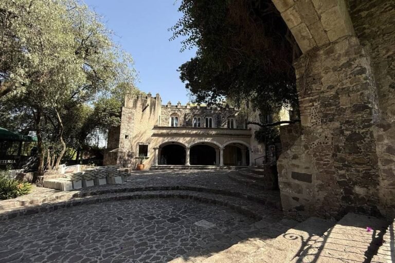 Museo Dolores Olmedo finalmente reabre en CDMX: arte de Frida Kahlo, pavorreales y más (ya puedes conseguir tus boletos)