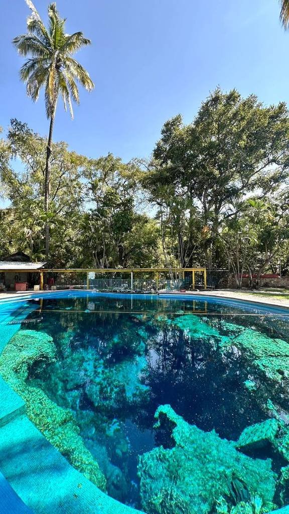 Ni Oaxtepec ni Las Estacas: existe un balneario con un borbollón natural de 9 metros que puedes conocer por $131