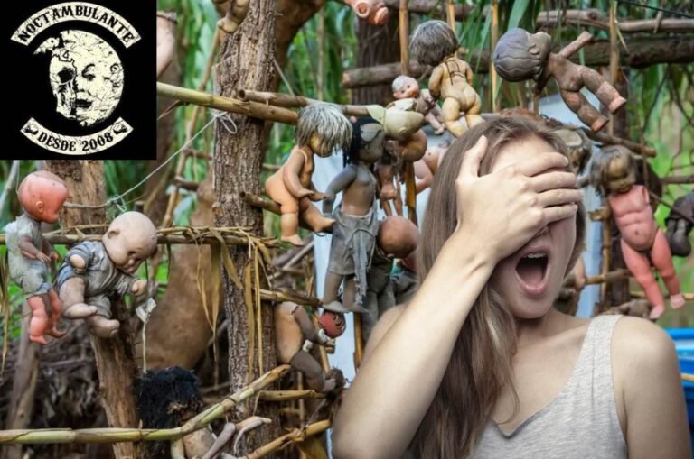 ¡Noche de cine de terror en la Isla de la Muñecas! Horror Film Camp 2026