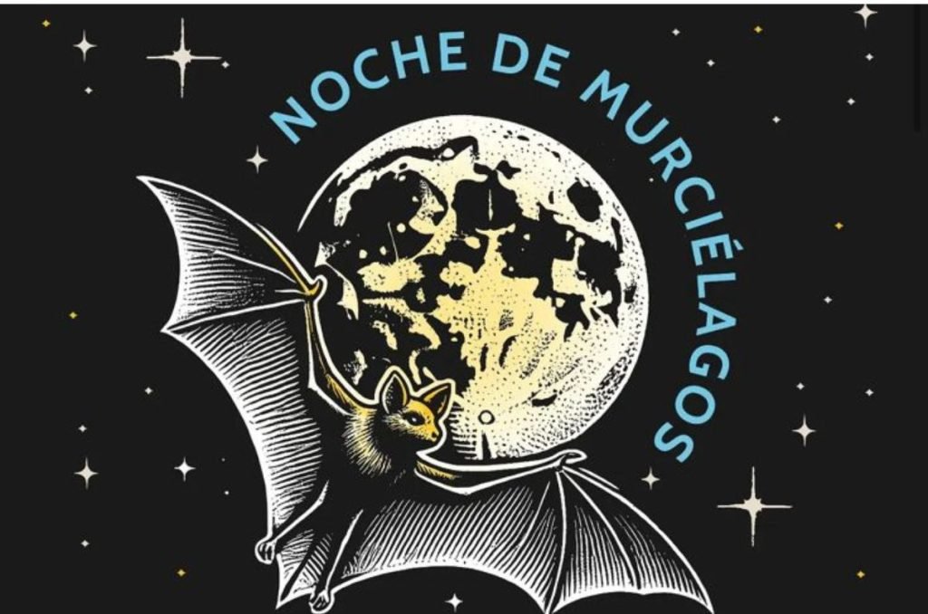Noche de murciélagos en CDMX: plan gratis en Chapultepec