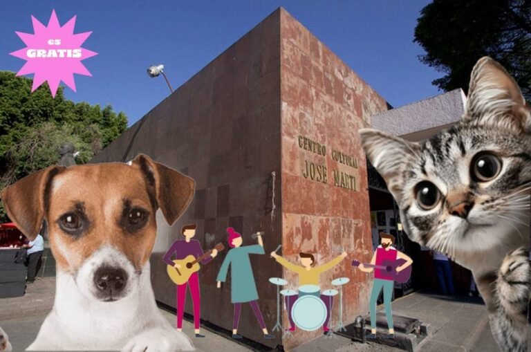 Patita Amiga ¡Disfruta este concierto benéfico para perros y gatos!