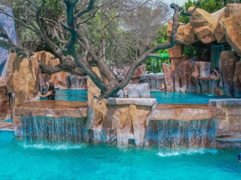 Precios 2026 del balneario temático de dinosaurios: ¡Prepárate para conocer sus pocitas de aguas termales y sus toboganes esta Semana Santa!