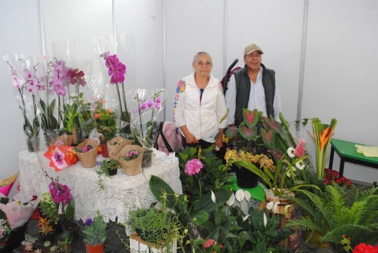 ¿Sin plan? Lánzate al Festival de las Flores 2026 en Tenancingo: habrá música, comida y más