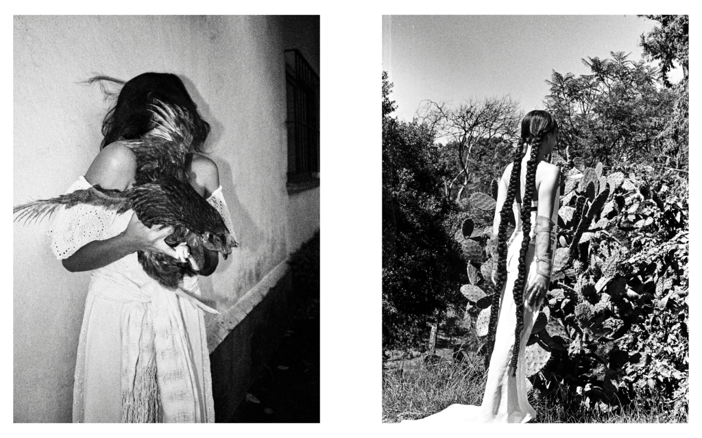 Territorios de Luz: 8 fotógrafas en la nueva expo de Claroscuro