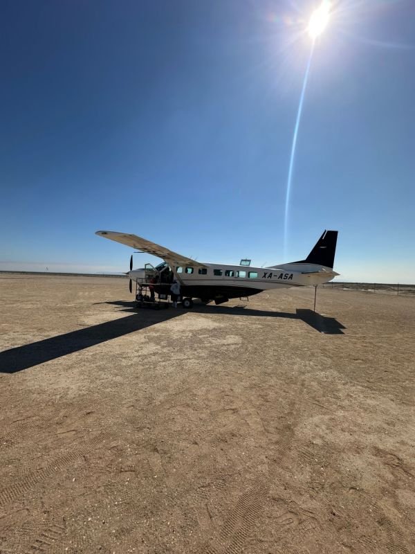 Whale Watching en México: la experiencia que te cambia por dentro